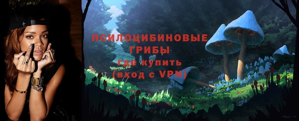 МДПВ Богородицк