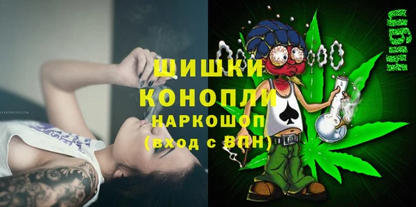 амф Бородино