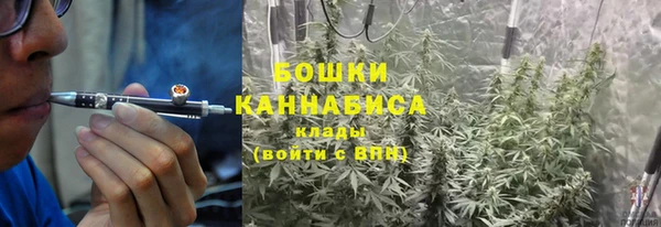 спиды Богданович