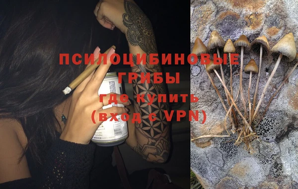 МДПВ Богородицк