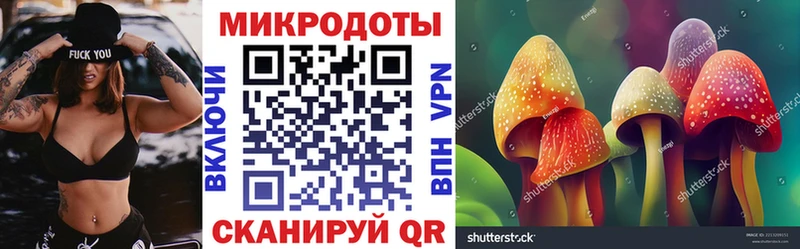 где найти наркотики  Дубовка  Галлюциногенные грибы MAGIC MUSHROOMS 